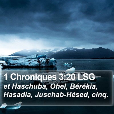 1 Chroniques 3:20 LSG Bible Verse Image