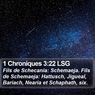 1 Chroniques 3:22 LSG Bible Verse Image