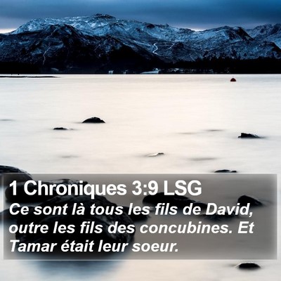 1 Chroniques 3:9 LSG Bible Verse Image