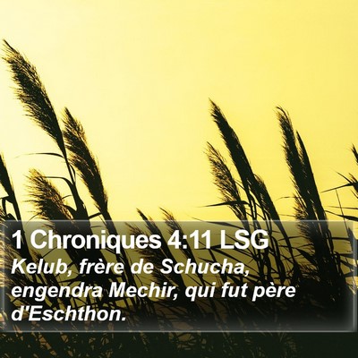 1 Chroniques 4:11 LSG Bible Verse Image