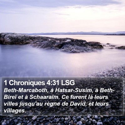 1 Chroniques 4:31 LSG Bible Verse Image