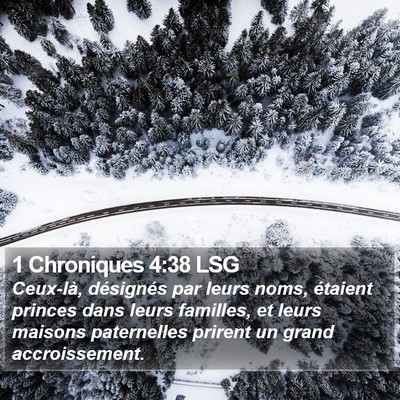 1 Chroniques 4:38 LSG Bible Verse Image
