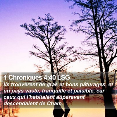 1 Chroniques 4:40 LSG Bible Verse Image