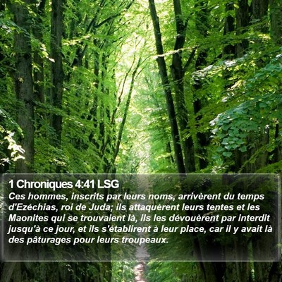 1 Chroniques 4:41 LSG Bible Verse Image