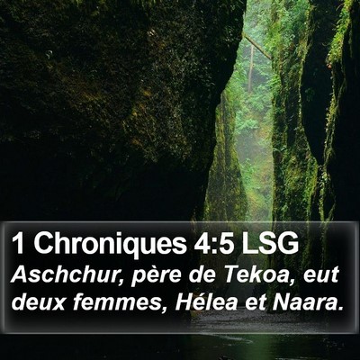 1 Chroniques 4:5 LSG Bible Verse Image
