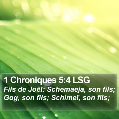 1 Chroniques 5:4 LSG Bible Verse Image