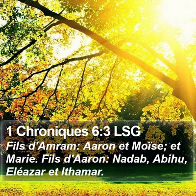 1 Chroniques 6:3 LSG Bible Verse Image