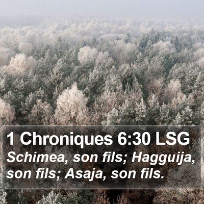 1 Chroniques 6:30 LSG Bible Verse Image