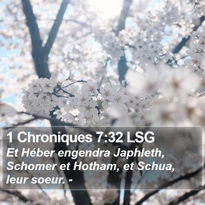 1 Chroniques 7:32 LSG Bible Verse Image