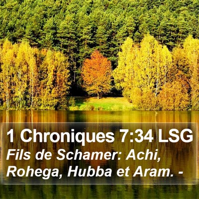 1 Chroniques 7:34 LSG Bible Verse Image