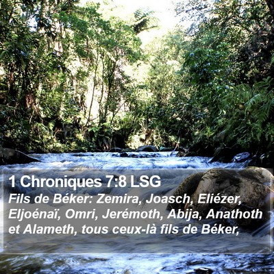 1 Chroniques 7:8 LSG Bible Verse Image