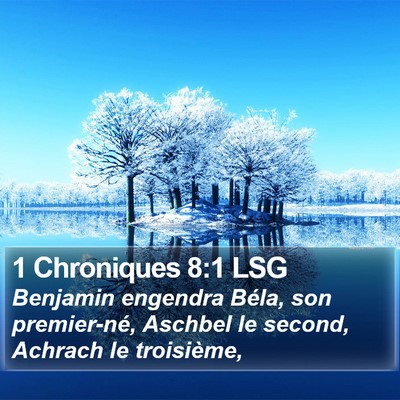 1 Chroniques 8:1 LSG Bible Verse Image