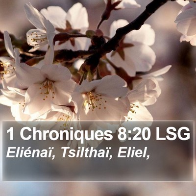 1 Chroniques 8:20 LSG Bible Verse Image