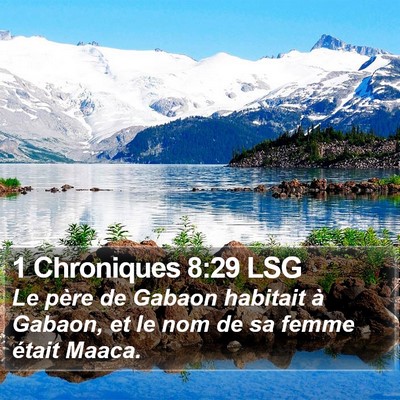 1 Chroniques 8:29 LSG Bible Verse Image