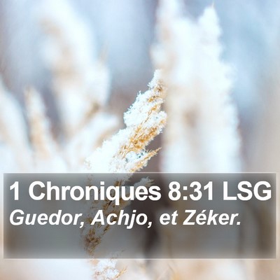 1 Chroniques 8:31 LSG Bible Verse Image
