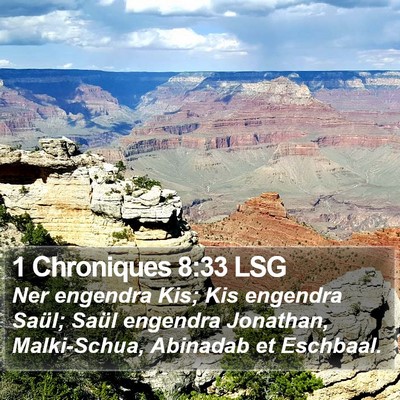 1 Chroniques 8:33 LSG Bible Verse Image
