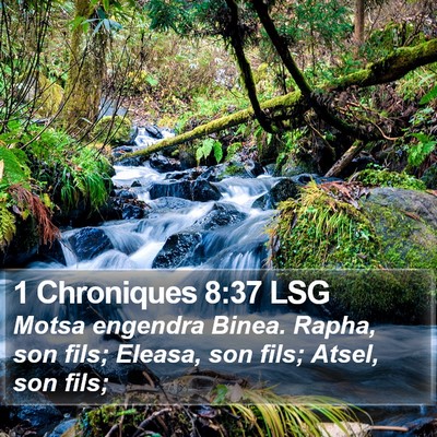 1 Chroniques 8:37 LSG Bible Verse Image