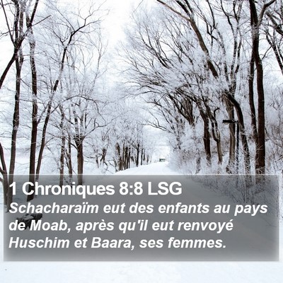 1 Chroniques 8:8 LSG Bible Verse Image