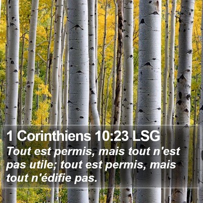 1 Corinthiens 10:23 LSG Bible Verse Image
