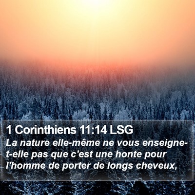 1 Corinthiens 11:14 LSG Bible Verse Image
