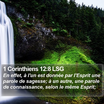 1 Corinthiens 12:8 LSG Bible Verse Image