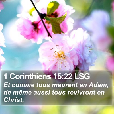 1 Corinthiens 15:22 LSG Bible Verse Image