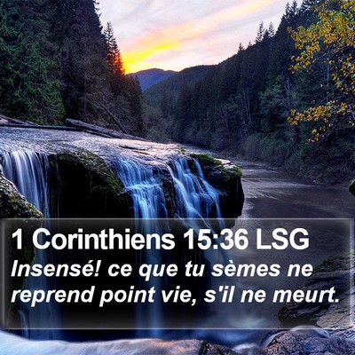 1 Corinthiens 15:36 LSG Bible Verse Image