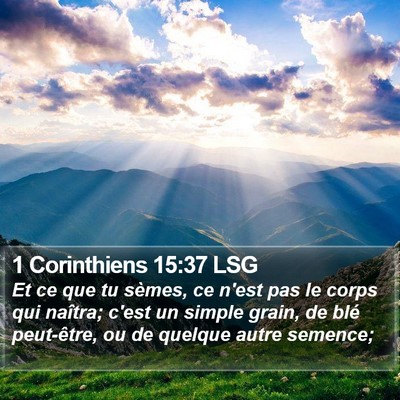 1 Corinthiens 15:37 LSG Bible Verse Image