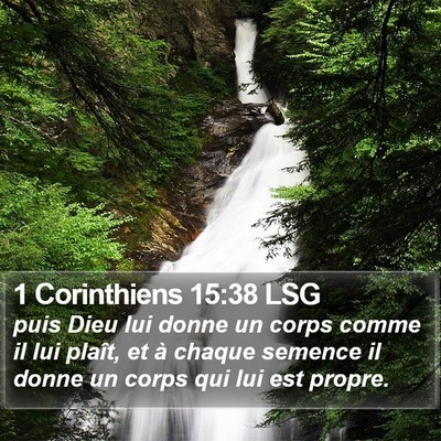 1 Corinthiens 15:38 LSG Bible Verse Image