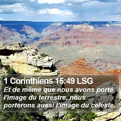 1 Corinthiens 15:49 LSG Bible Verse Image
