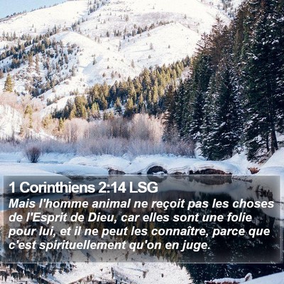 1 Corinthiens 2:14 LSG Bible Verse Image