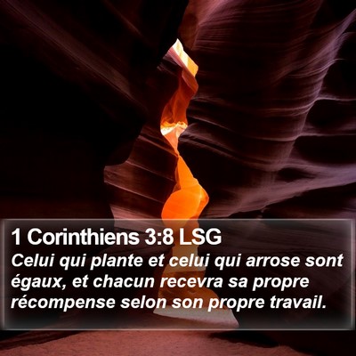 1 Corinthiens 3:8 LSG Bible Verse Image