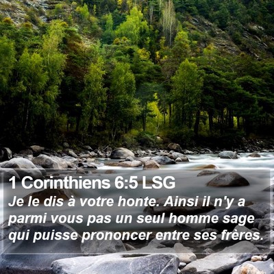 1 Corinthiens 6:5 LSG Bible Verse Image