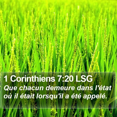 1 Corinthiens 7:20 LSG Bible Verse Image