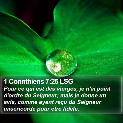 1 Corinthiens 7:25 LSG Bible Verse Image