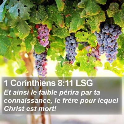1 Corinthiens 8:11 LSG Bible Verse Image