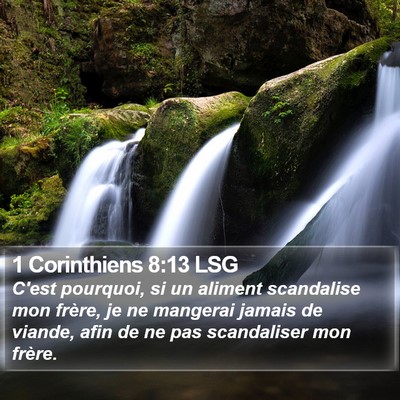 1 Corinthiens 8:13 LSG Bible Verse Image