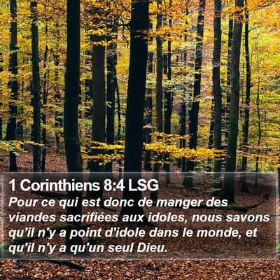 1 Corinthiens 8:4 LSG Bible Verse Image