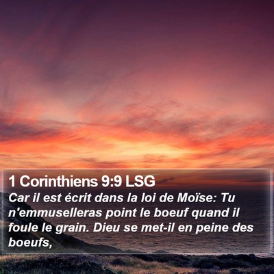 1 Corinthiens 9:9 LSG Bible Verse Image