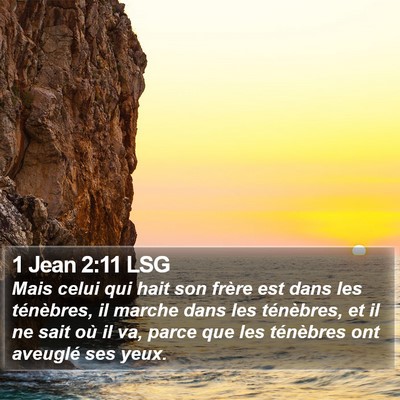 1 Jean 2:11 LSG Bible Verse Image