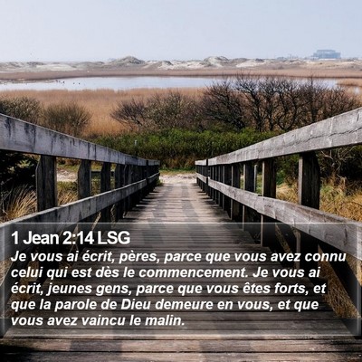 1 Jean 2:14 LSG Bible Verse Image