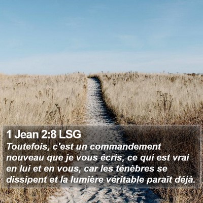 1 Jean 2:8 LSG Bible Verse Image