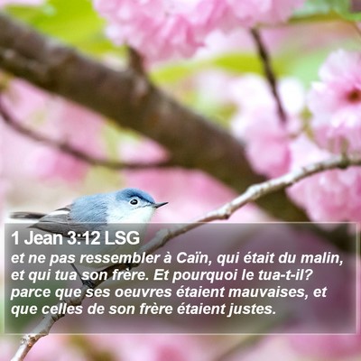 1 Jean 3:12 LSG Bible Verse Image