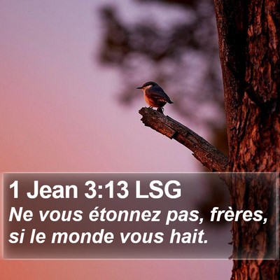 1 Jean 3:13 LSG Bible Verse Image