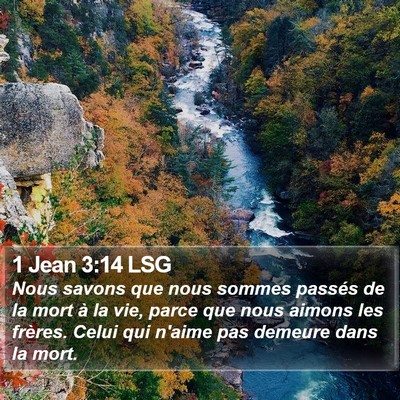 1 Jean 3:14 LSG Bible Verse Image