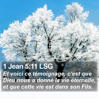 1 Jean 5:11 LSG Bible Verse Image