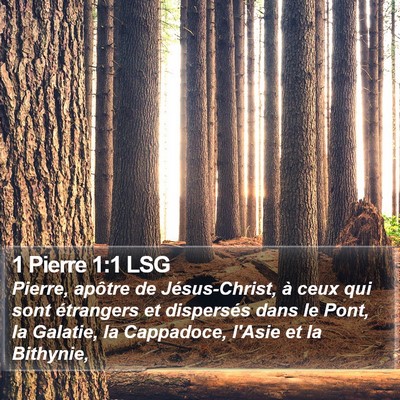 1 Pierre 1:1 LSG Bible Verse Image