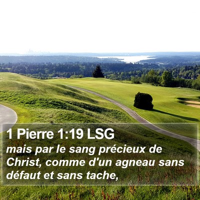 1 Pierre 1:19 LSG Bible Verse Image