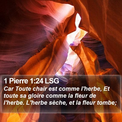 1 Pierre 1:24 LSG Bible Verse Image