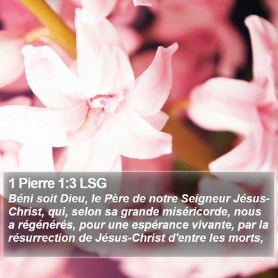 1 Pierre 1:3 LSG Bible Verse Image